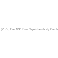 Recombivirus? Human Anti-Zika Virus (ZIKV) Env+NS1+Prm+Capsid antibody Combo IgG ELISA kit, 96 tests, Quantitative